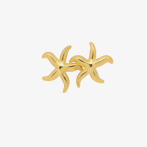 Boucle d'oreilles Star Golds